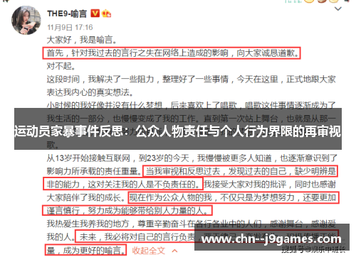 运动员家暴事件反思：公众人物责任与个人行为界限的再审视